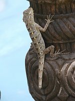 DSC00970 